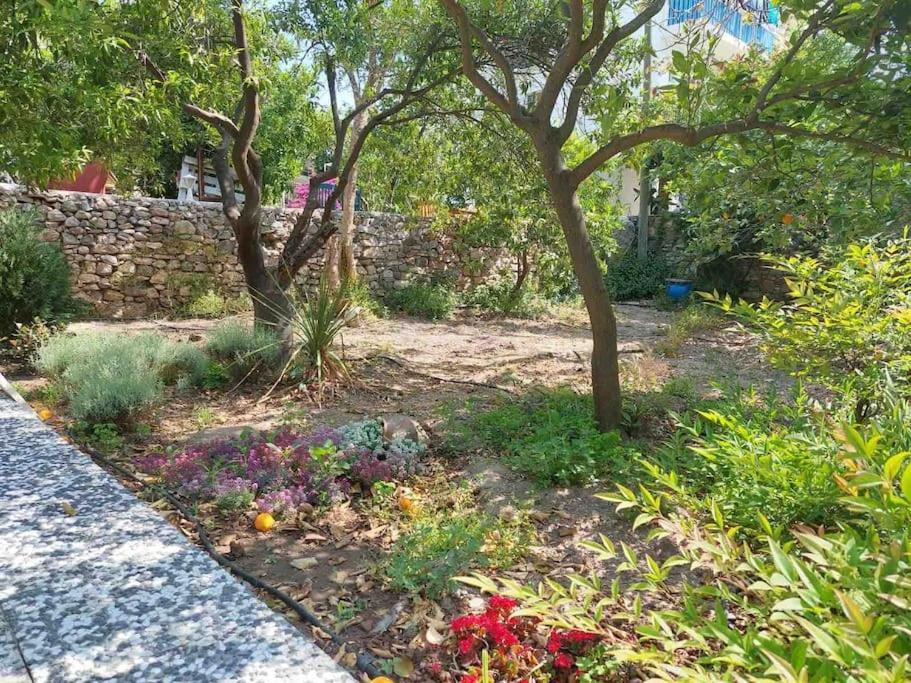 Mel'S Garden House In The Heart Of The City Bodrum Extérieur photo